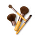 Powder Brush